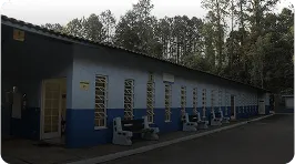 Centro Veterinário